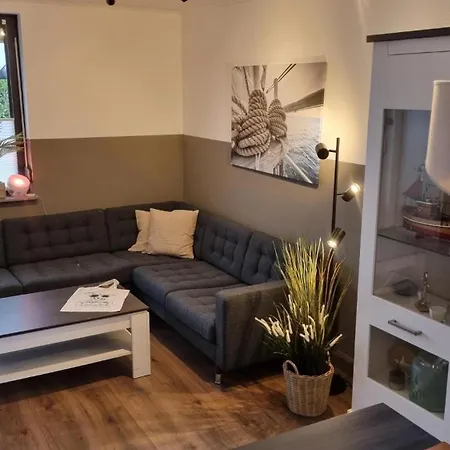 Ferienhaus-kegelrobbe *