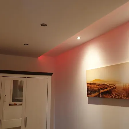 Ferienhaus-kegelrobbe *